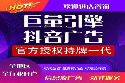 行业领先企业的SEM广告投放策略案例